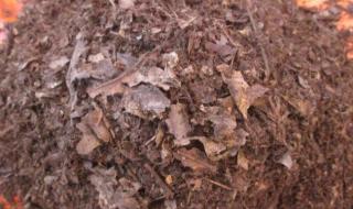 有机营养土是什么做的 腐叶土是什么土